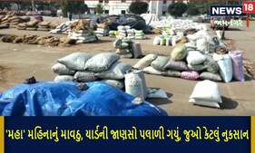 Jamnagar : 'મહા' મહિનાનું માવઠુ, યાર્ડની જણસો પલાળી ગયું, જુઓ Video