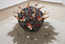 Ahmedabad: Egg trays and cardboard display images representing Beyond Nature, Watch Video