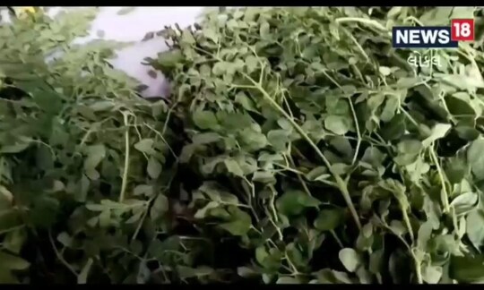 એક