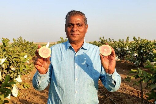 કચ્છમાં