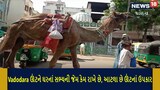 ઉમરભાઈ ઊંટને પરિવારના સભ્યની જેમ રાખી કરે છે સેવા