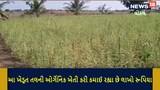 11 ધોરણ ભણેલા ખેડૂતે તલની એવી સફળ ખેતી કરી કે સરકારે આપવું પડ્યું પ્રમાણપત્ર, જુઓ Video