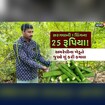 સરગવાની 1 શિંગના 25 રૂપિયા મળ્યા;  જાણો અમરેલીના ખેડૂતે ખેતીમાં શું કર્યો બદલાવ