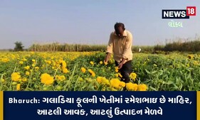 Bharuch: ગલાડિયા ફૂલની ખેતીમાં રમેશભાઇ છે માહિર, જુઓ Video