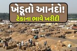 સરકારનો ખેડૂતોને લઈને મોટો નિર્ણય, આ તારીખથી કરાશે ટેકાના ભાવે ખરીદી