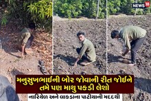 Rajkot: This brother has a unique art, coconut and wood to tell where the water is in the field!