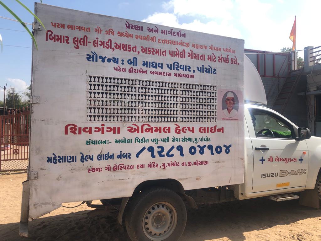 Balwantbhai Acharya Shiv Ganga has been running Animal Helpline for the past 12 years. News18 Gujarati Balwantbhai Acharya Shiv Ganga has been running Animal Helpline for the past 12 years. News18 Gujarati
