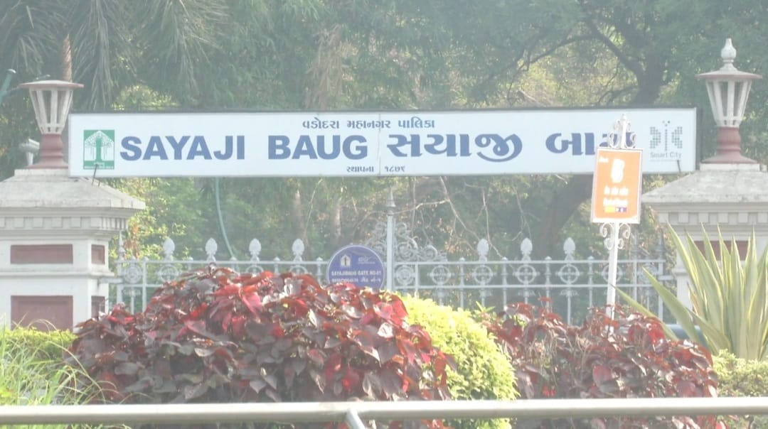  Nidhi Dave, Vadodara: બાબા સાહેબ આંબેડકરને આખું વિશ્વ ભારતના સંવિધાનના રચયીતા તરીકે ઓળખે છે. સાથે દેશનો દલિત સમાજ તેમને એક પાઠ ચિંતક તરીકે પૂજે છે. પરંતુ બાબા સાહેબને બાબા સાહેબ બનાવવા જે પરિસ્થિતિઓ કે સંજોગો એ ભૂમિકા નિભાવી તેમાં વડોદરાનો શહેરનો અહમ રોલ છે. તારીખી ઇતિહાસ મુજબ ડો. આંબેડકર બે વાર વડોદરા આવ્યા હોવાનું દર્શાવે છે.
