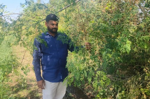 સરગવાનો