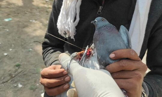 સાવરકુંડલમાં