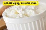 બહાર જેવું ઘટ્ટ અને મલાઇદાર દહીં જમાવવા નોંધી લો આ રીત