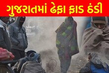Weather Alert: ફરી ઠુઠવાશે ગુજરાત, આ તારીખથી પડશે અનેક રાજ્યોમાં ઢેફા ફાડ ઠંડી