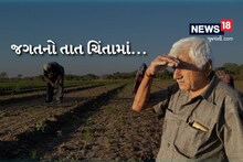 Cumin prices skyrocketed but farmers suffered huge losses due to crop failure in Jamnagar twin division