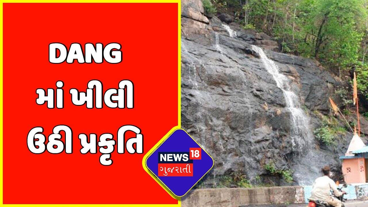 Gujarat Monsoon : Dang માં સક્રિય થયાં ઝરણા | Monsoon 2022