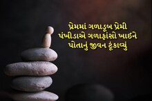 સગા મામા-ભાણેજ એકબીજાના પ્રેમમાં ગળાડૂબ, એક ના થઇ શકવાના ડરે મોત કર્યું વ્હાલું