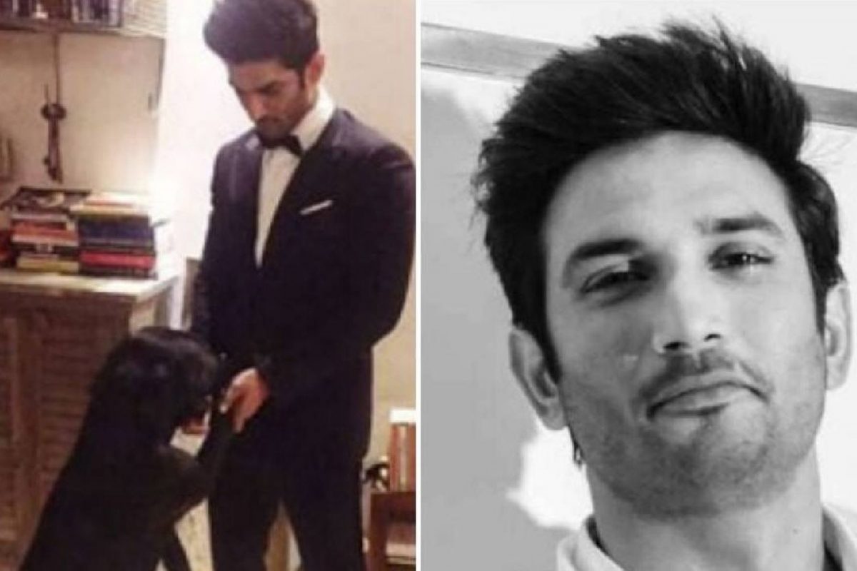 Sushant Singh Rajput Dog Died: સુશાંત સિંહ રાજપૂતના ડોગ ફજનું નિધન, ભાવુક કરી દેશે એક્ટર સાથેની આ તસવીરો