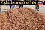 ટેકાના ભાવે મગફળી ખરીદવાનો ફિયાસ્કો, ખેડૂતો બજારમાં જઈ વેચી આવ્યાં!