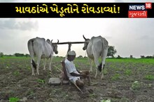 Gujarat Rain: માવઠાંને લીધે ખેડૂતોને પાકમાં માર પડ્યો, રાજ્ય સરકાર સરવે કરાવી સહાયની રકમ નક્કી કરશે