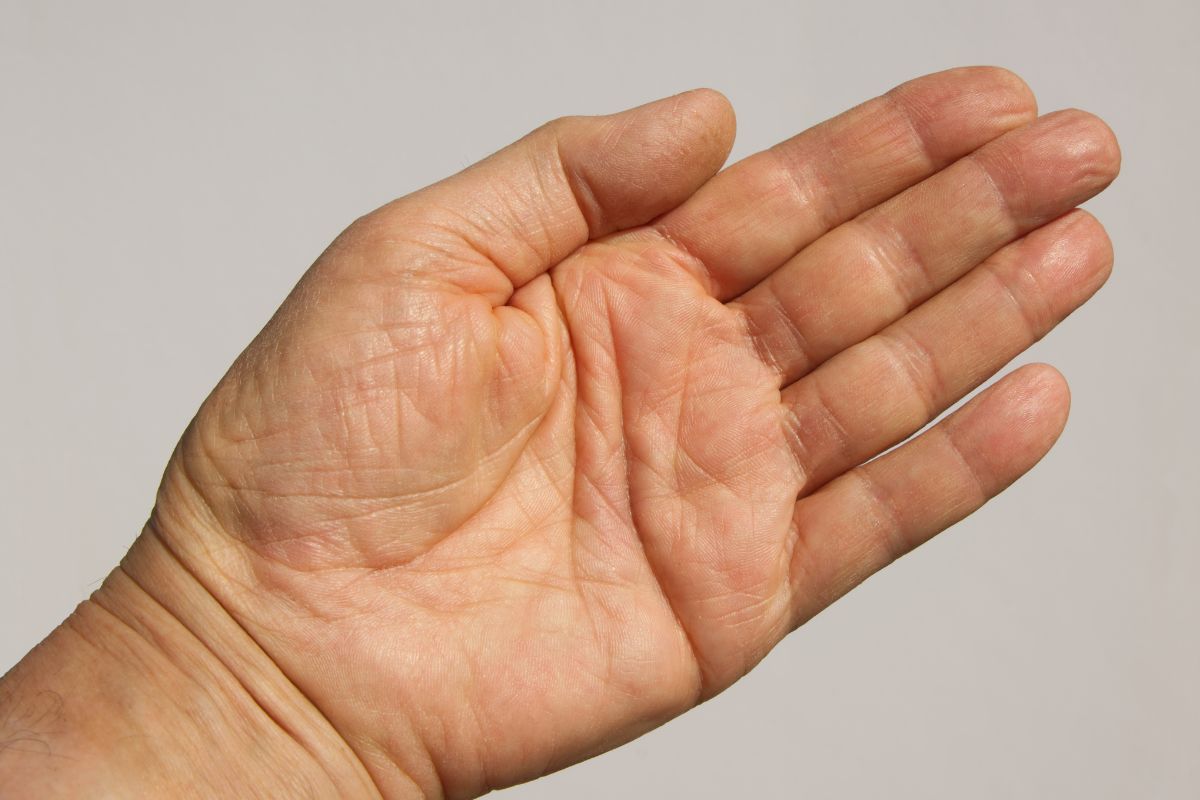  Lucky Sign On Palm: હસ્તરેખાશાસ્ત્રના નિષ્ણાતો હથેળીની રેખાઓ વાંચીને વ્યક્તિનું ભવિષ્ય કહે છે. હથેળીની આ આડી રેખાઓ ક્યારેક અમુક ખાસ આકાર પણ બનાવે છે, જે બિલકુલ અંગ્રેજી અક્ષરો જેવા દેખાય છે.
