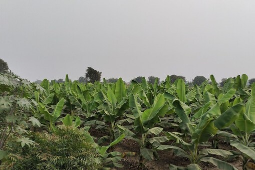 પૂર્વ