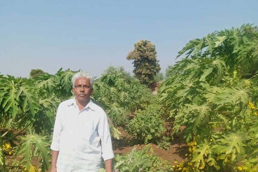 મહેસાણા