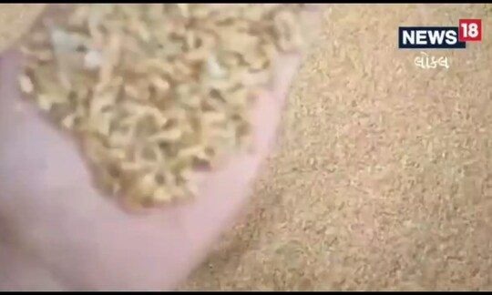 અમરેલી