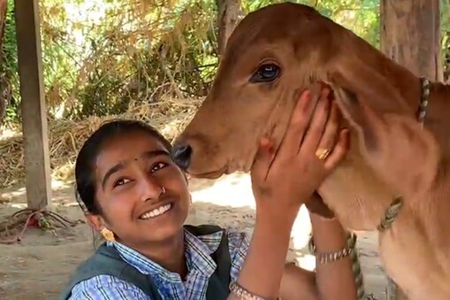 પશુ