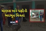 માણસ અને પક્ષીની અદભૂત મિત્રતા, ઉત્તર પ્રદેશના પક્ષી સાથે આરીફનો અનોખો સંબંધ