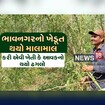 આવી ખેતીમાં તો બંગલા-ગાડી ખરીદી શકાય! ભાવનગરના ખેડૂતે જુઓ શું કરી મહેનત