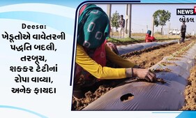 Agriculture News | ખેડૂતોએ વાવેતરની પદ્ધતિ બદલી, તરબૂચ તથા શક્કર ટેટી વાવ્યા, જુઓ Video