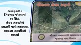 ગિરનાર જંગલમાં 50 સિંહ, નેચર સફારીને આટલી મળી સફળતા