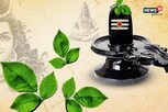 માસિક શિવરાત્રિ પર કરી લો ચોખાના આ ઉપાય, મળશે દેવામાંથી મુક્તિ