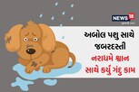 શ્વાનથી ભૂંડો માણસ! નરાધમે અબોલ જીવ સાથે કર્યું ગંદુ કામ, VIDEO વાયરલ થઈ ગયો