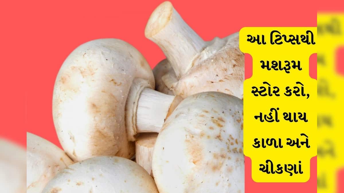 How to store to mushrooms in one week આ રીતે મશરૂમ સ્ટોર કરો અને