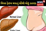 શું તમને પણ છે આ બીમારી, તપાસ કરાવજો નહીંતર લિવર ખલાસ થઈ જશે!