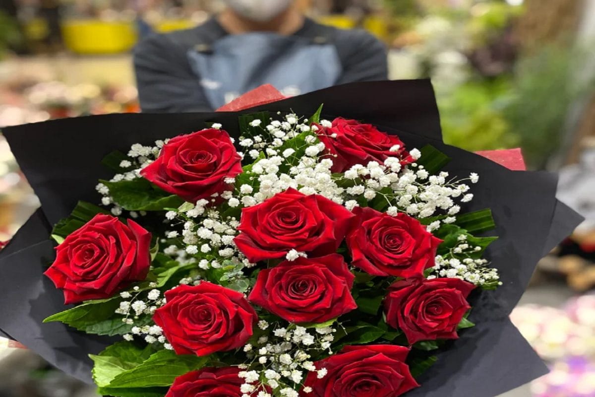 Valentine Weekના 7 દિવસનું કનેક્શન છે અદ્ભુત, જાણો આગળની કહાની, 14 ફેબ્રુઆરી પછીનો દિવસ સૌથી મજેદાર!