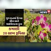 ફૂલોથી વર્ષે 20 લાખ રૂપિયાની કમાણી કરે છે ગુજરાતનો ખેડૂત, જાણો કેવી રીતે