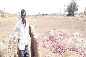 Bhavnagar: નાફેડ ફકત ગુણવત્તાવાળી જ ડુંગળી ખરીદતા ખેડૂતોમાં કચવાટ, જુઓ Video 