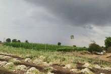 Amreli News: વધુ એક વખત ખેડૂતો ઉપર આફતનાં વાદળોછવાયા, આ તારીખનાં માવઠાની આગાહી કરાઇ