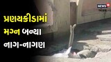 નાગ-નાગણીની પ્રણયક્રીડાનો અદભુત નજારો, જુઓ અહી