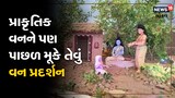 કુદરતી વનને પણ પાછળ મૂકે તેવું વન તૈયાર, જુઓ અદ્ભુત video