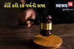 ખેડૂતને વીજ થાંભલા ઉપરથી વીજ કરંટ આપવાનું ભારે પડ્યું, એક યુવકનું મોત થતા કોર્ટે કરી સજા