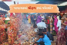 પાવાગઢમાં શ્રીફળ વધેરવાના મશીન શોભાના ગાંઠિયા સમાન! ભક્તો રસ્તામાં જ ફોડી રહ્યા છે નારિયેળ