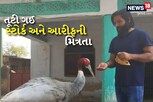 વન વિભાગ આરીફ અને સ્ટોર્કની મિત્રતા વચ્ચે દુશ્મન બની આવ્યું, છેલ્લી વેળાએ આરીફ રડી પડ્યો