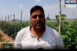 રૂપિયાના ઢગલા થયાં: આ ખેડૂતે યૂટ્યૂબ પરથી વીડિયો જોઈ ખેતી શિખી, 11 મહિનામાં 20 લાખની કમાણી