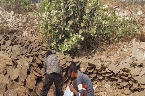 છાણા