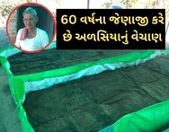 Mehsana: સુંઢિયાના ખેડૂત આવી રીતે વર્મી કમ્પોસ્ટ ખાતર તૈયાર કરી અળસિયા વેચે, બેસ્ટ ફાર્મરનો મળ્યો છે એવોર્ડ