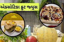 Success Story: આ યુવકે 70 હજારની નોકરી છોડી એક્સોટિકા ફ્રુટ જ્યુસનો ધંધો શરૂ કર્યો, 30 પ્રકારના જ્યુસ મળે