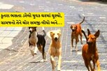 અમદાવાદ: કૂતરા ભસતા ડરેલો યુવક ઘરમાં ઘૂસ્યો, ગ્રામજનો તેને ચોર સમજી લીધો અને...