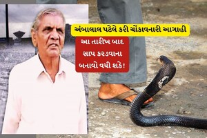 અંબાલાલ પટેલે કરી ચોંકાવનારી આગાહી, આ તારીખ બાદ સાપ કરડવાના બનાવો વધી શકે!